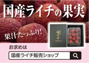 国産ライチの果実 国産ライチ販売ショップ