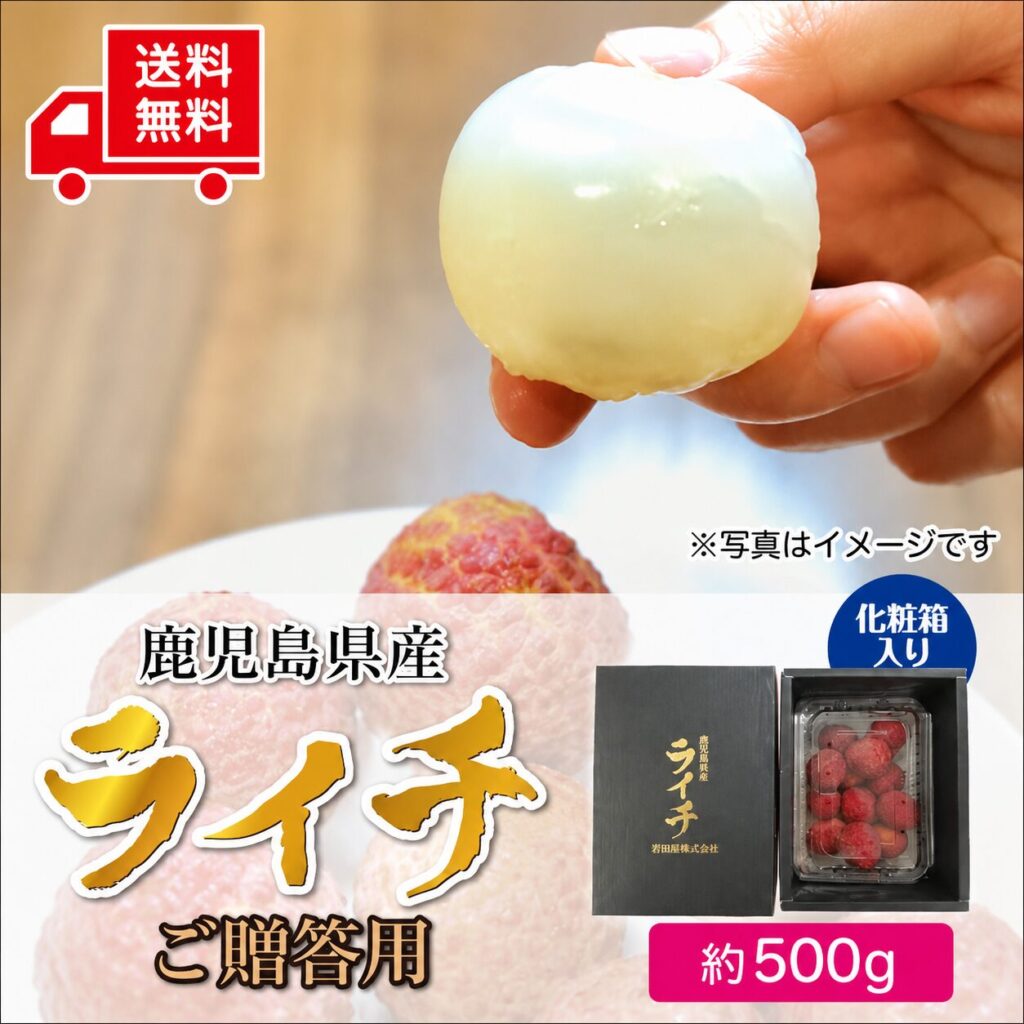 鹿児島県産生ライチ 通常4400円(税込)→3900円(税込)500円OFF(送料込) サービス説明画像1